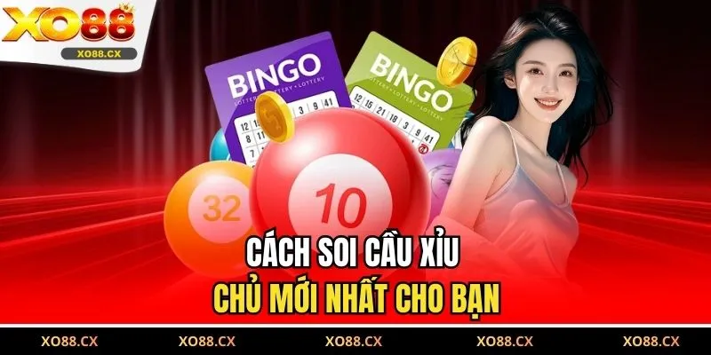 Cách soi cầu xỉu chủ mới nhất cho bạn