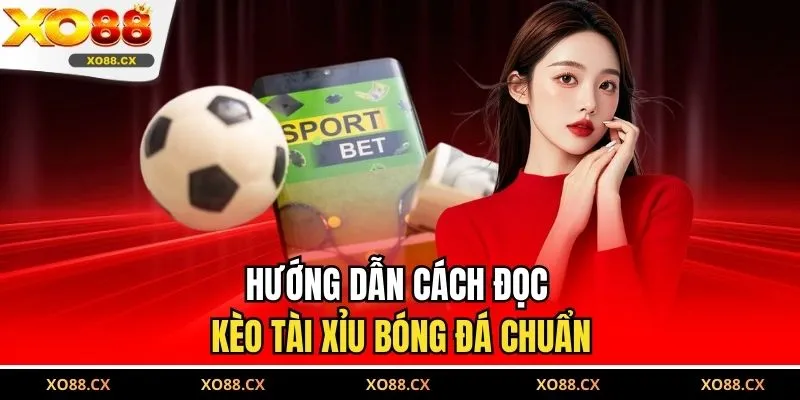 Hướng dẫn cách đọc kèo tài xỉu bóng đá chuẩn