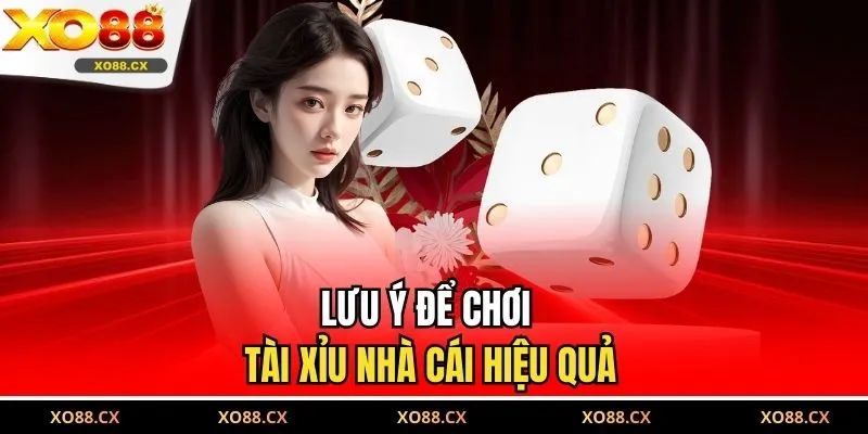 Lưu ý để chơi tài xỉu nhà cái hiệu quả