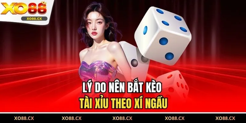 Lý do nên bắt kèo tài xỉu theo xí ngầu
