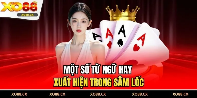 Một số từ ngữ hay xuất hiện trong sâm lốc