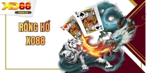 Rồng Hổ XO88 - Game Trực Tuyến Hấp Dẫn Top 1 Hiện Nay