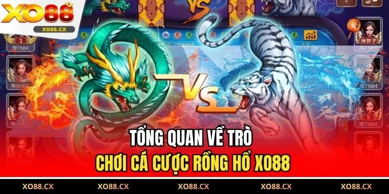 Tổng quan về trò chơi cá cược Rồng Hổ XO88